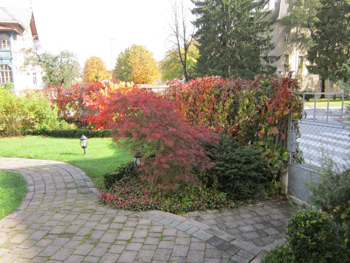 קוצ'בייה Guest House Veronika מראה חיצוני תמונה